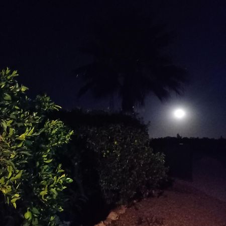 La Buganvilla, Descanso Entre Olivares オルナチュエロス エクステリア 写真