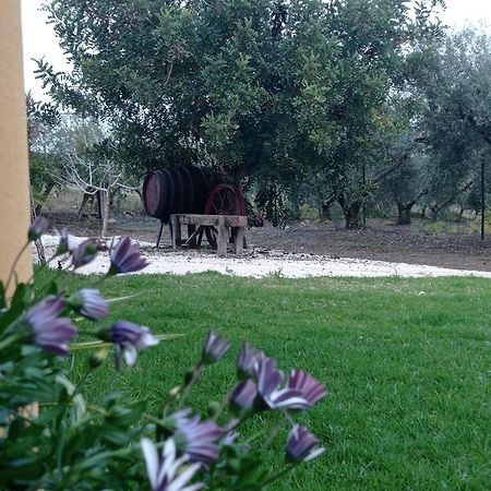 La Buganvilla, Descanso Entre Olivares オルナチュエロス エクステリア 写真