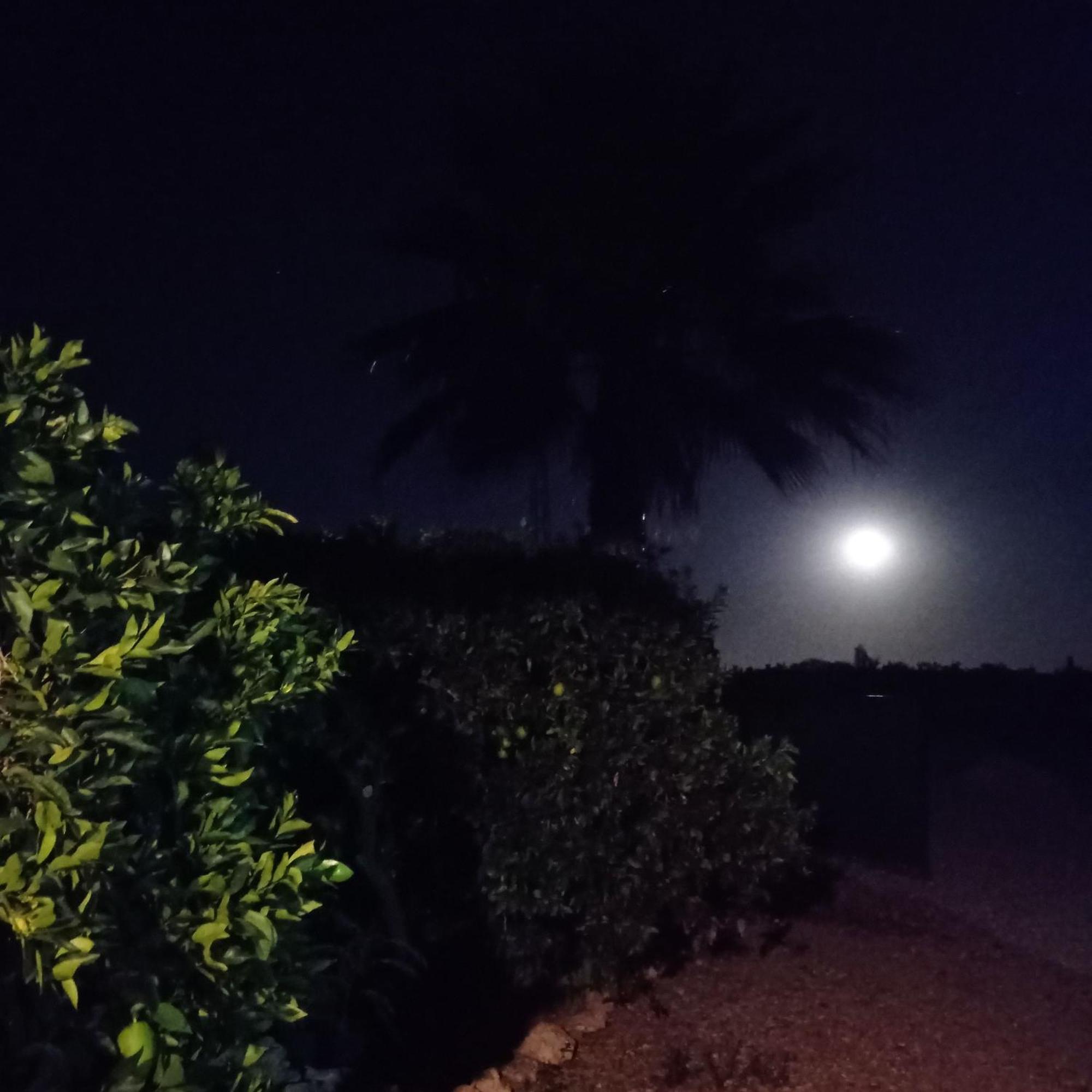 La Buganvilla, Descanso Entre Olivares オルナチュエロス エクステリア 写真