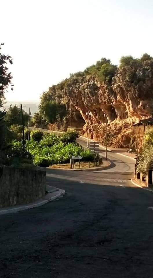 La Buganvilla, Descanso Entre Olivares オルナチュエロス エクステリア 写真