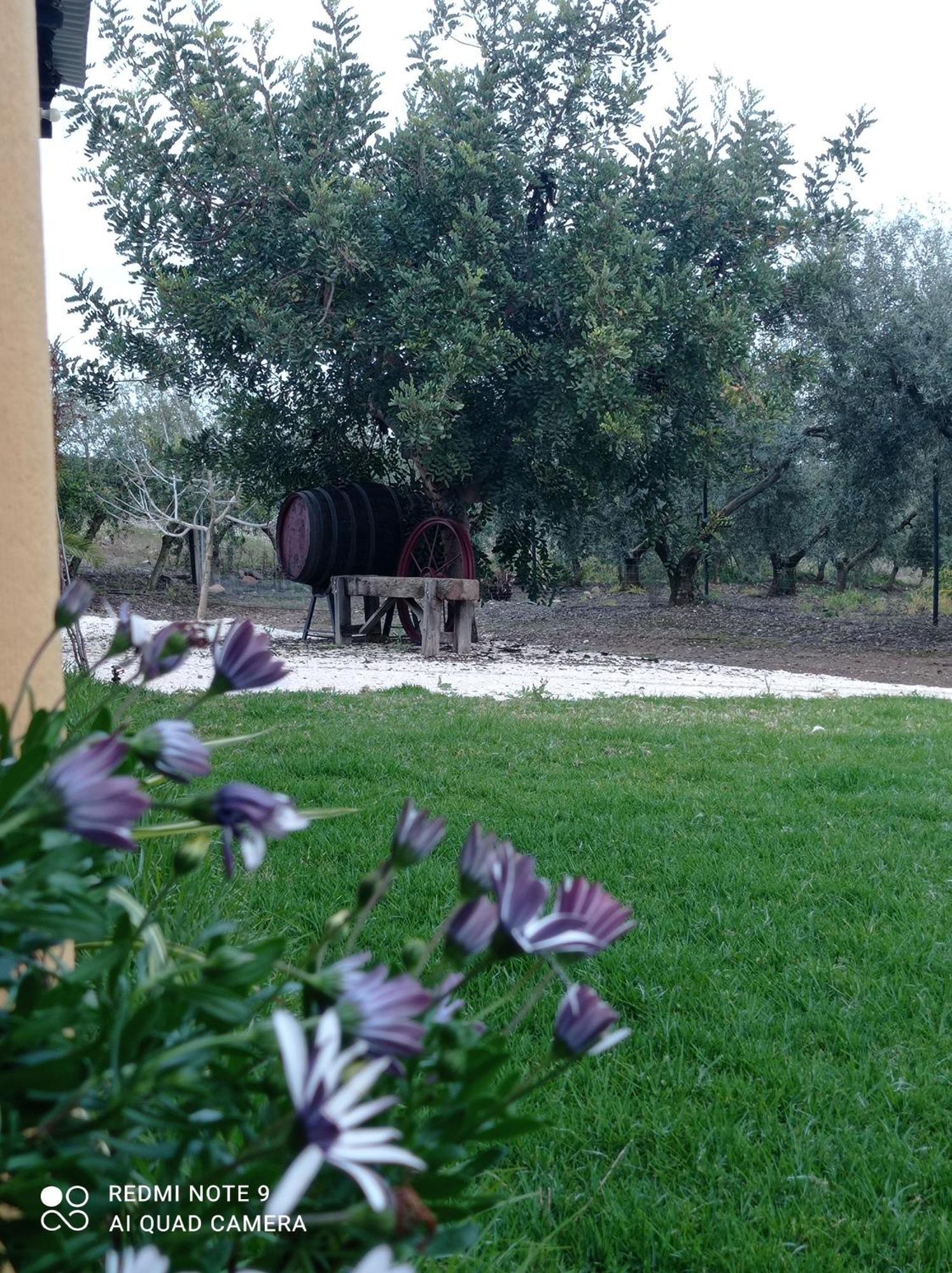 La Buganvilla, Descanso Entre Olivares オルナチュエロス エクステリア 写真