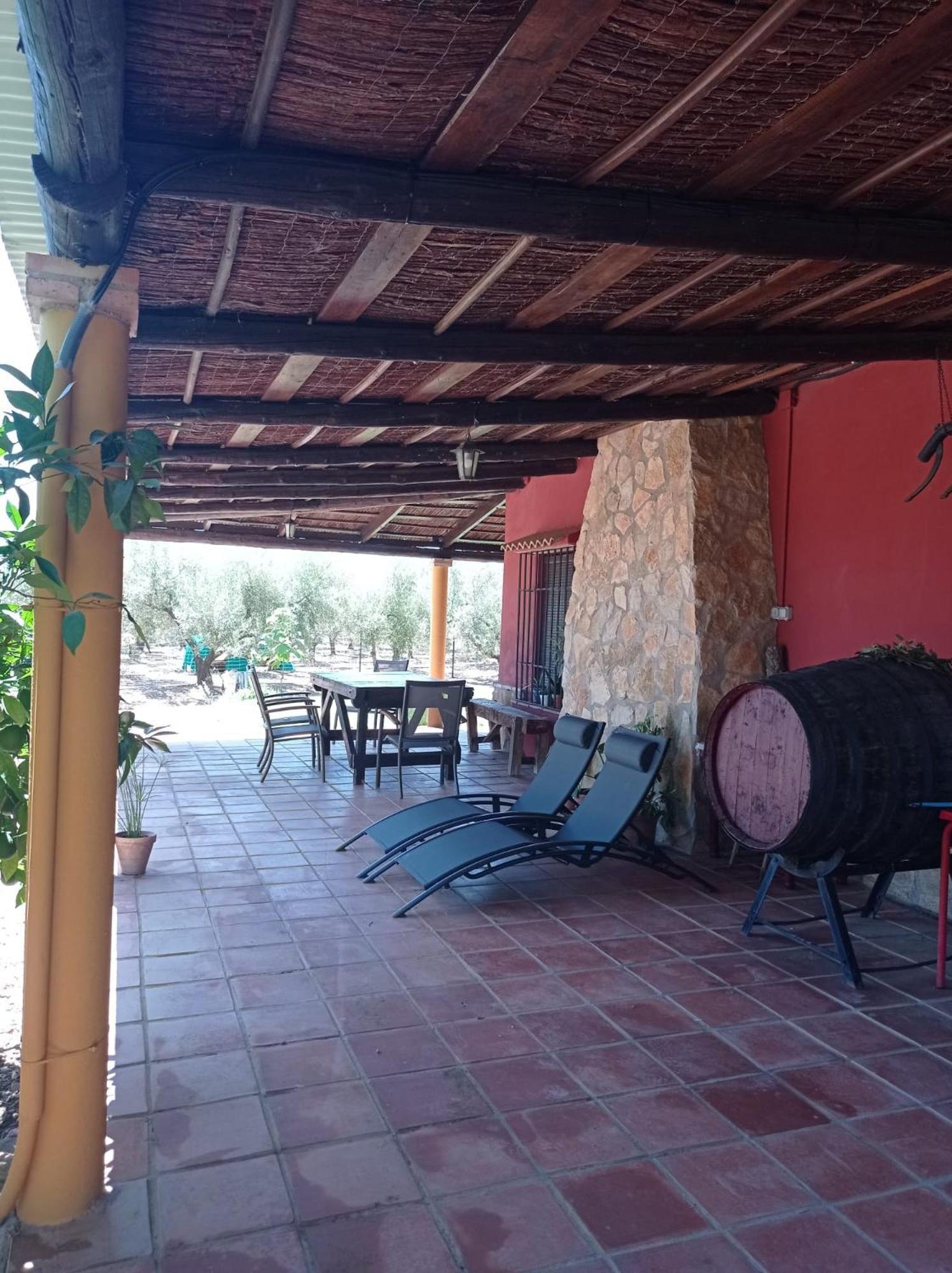 La Buganvilla, Descanso Entre Olivares オルナチュエロス エクステリア 写真